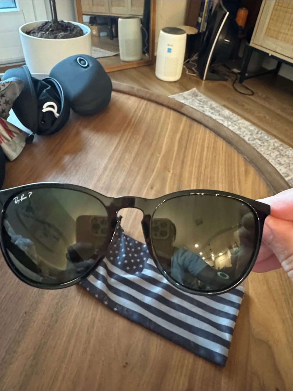 Ray-Ban Erika RB4171 Sunglasses with Green Polarized Lens
